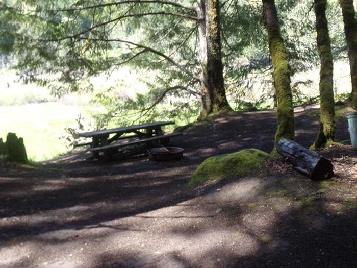 Camper submitted image from Sunnyside Campground - 2
