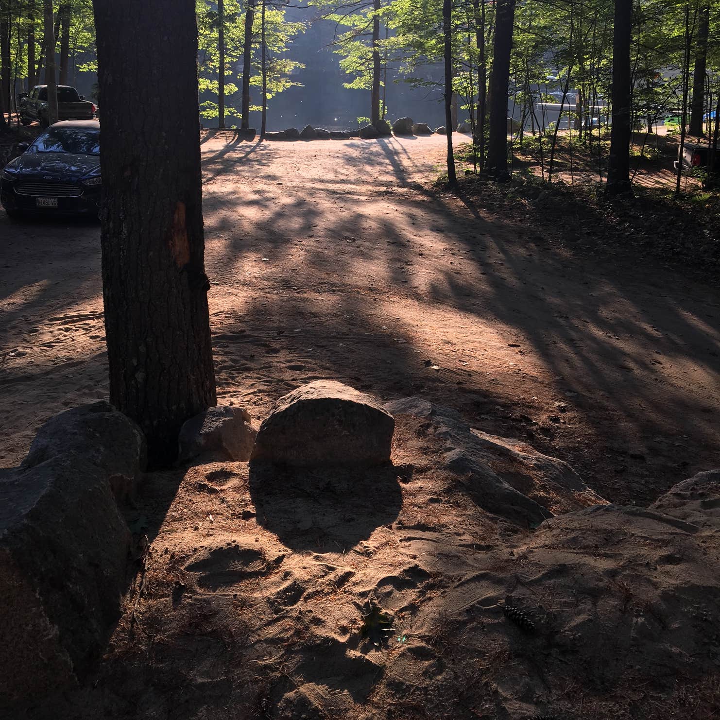 Acres Of Wildlife Family Campground Camping | The Dyrt
