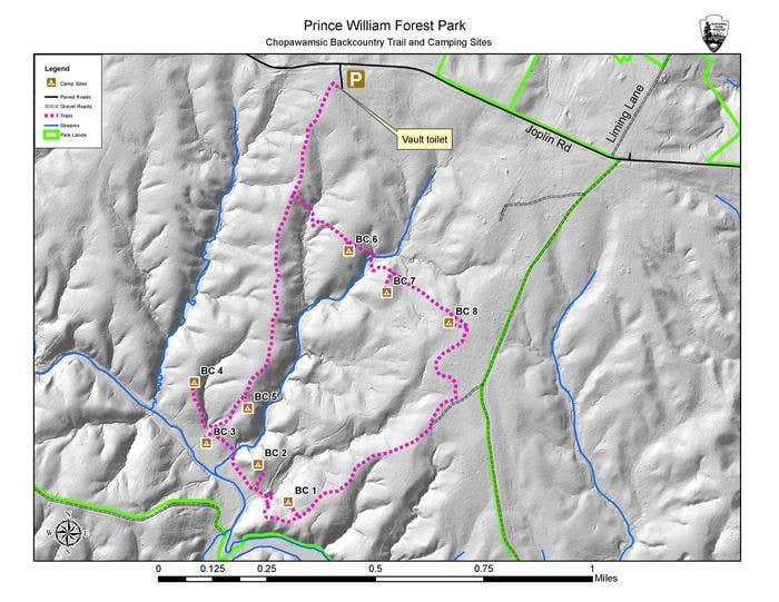 Camper submitted image from Chopawamsic Backcountry Camping Permits — Prince William Forest Park - 2