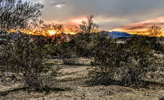 Shari G.'s photo of a dispersed camping area at La Posa West BLM Long Term Visitor Area near Palo Verde, CA
