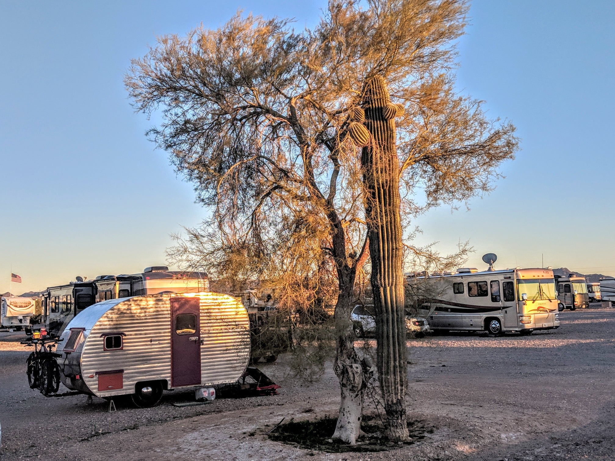 Camper submitted image from Rice Ranch RV Park - 1