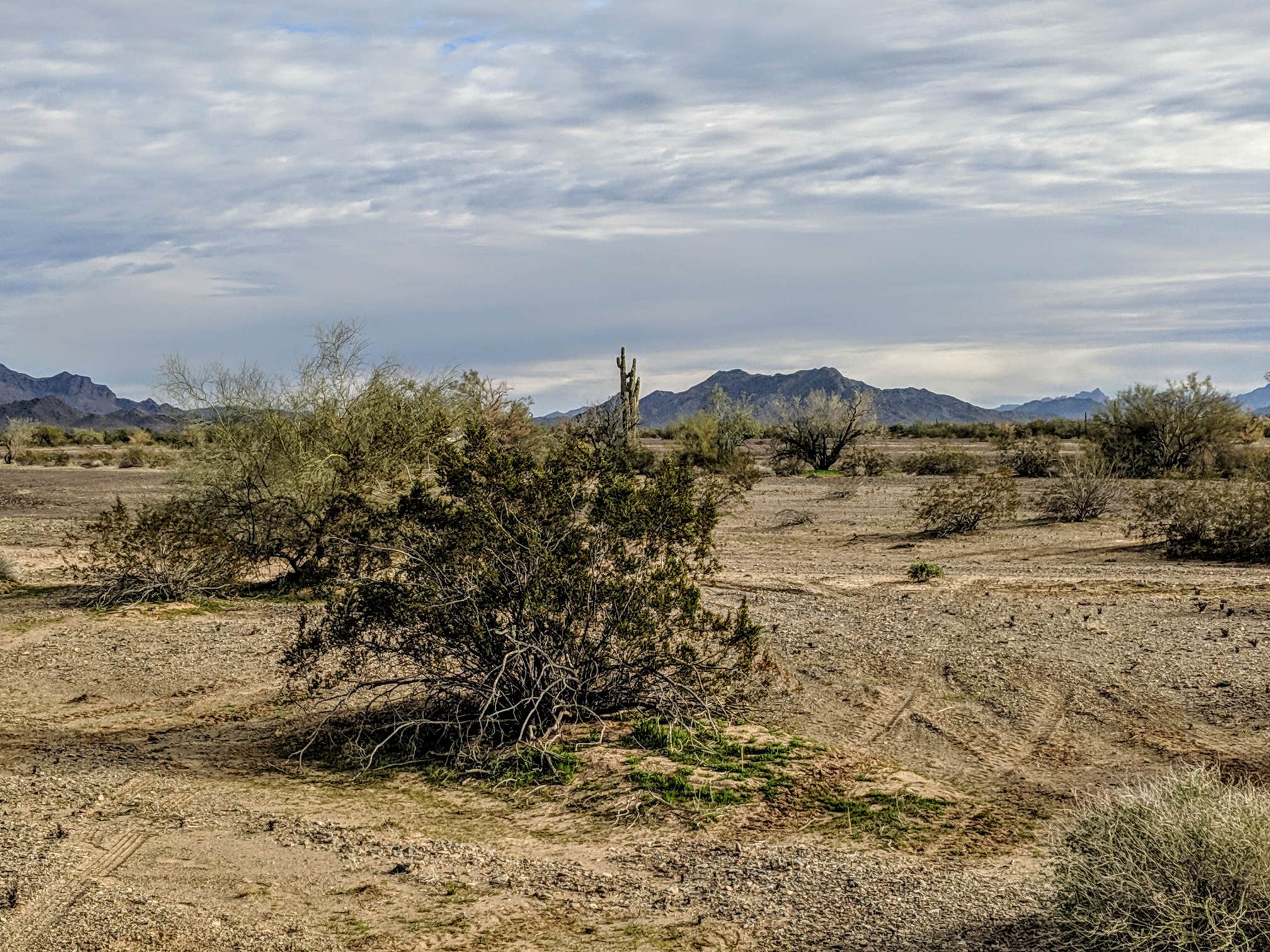 La Posa South BLM Long Term Visitor Area | The Dyrt