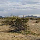 Review photo of La Posa South BLM Long Term Visitor Area (LTVA) by Shari  G., January 31, 2019