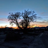 Review photo of La Posa North BLM Long Term Visitor Areas   by Shari  G., January 31, 2019