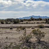 Review photo of Dome Rock Road BLM Dispersed Camping Area by Shari  G., February 1, 2019