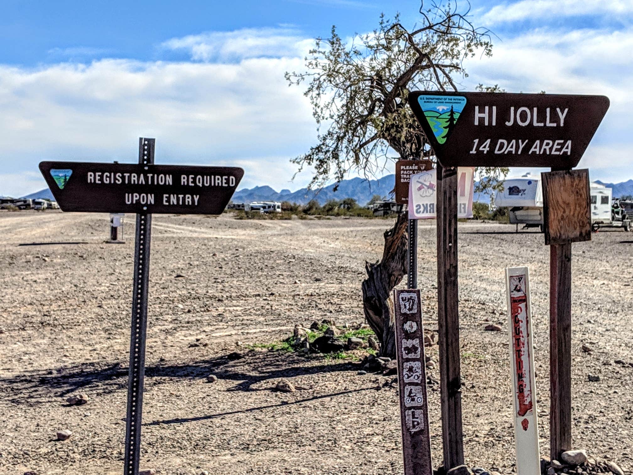 Camper submitted image from Hi Jolly BLM Dispersed Camping Area - 2