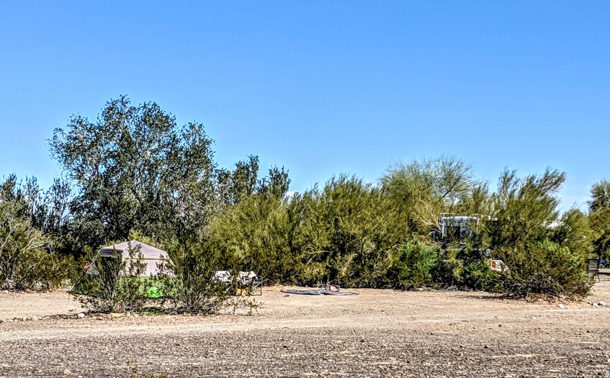 Shari  G.'s photo of a dispersed camping area at Hi Jolly BLM Dispersed Camping Area in Arizona