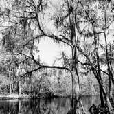 Review photo of Dogwood Campground — O'Leno State Park by Meandering Life , February 1, 2019