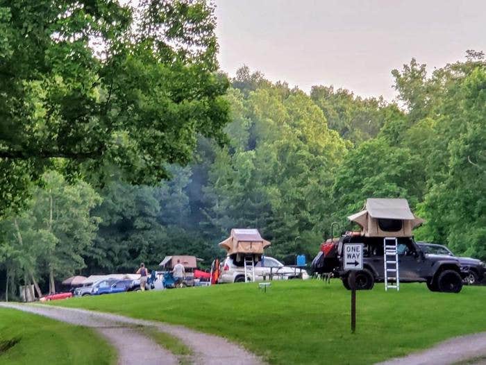 Camper submitted image from Bee Run Campground — Sutton Lake - 1
