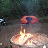 Review photo of Albee Creek Campground — Humboldt Redwoods State Park by Jim M., February 1, 2019