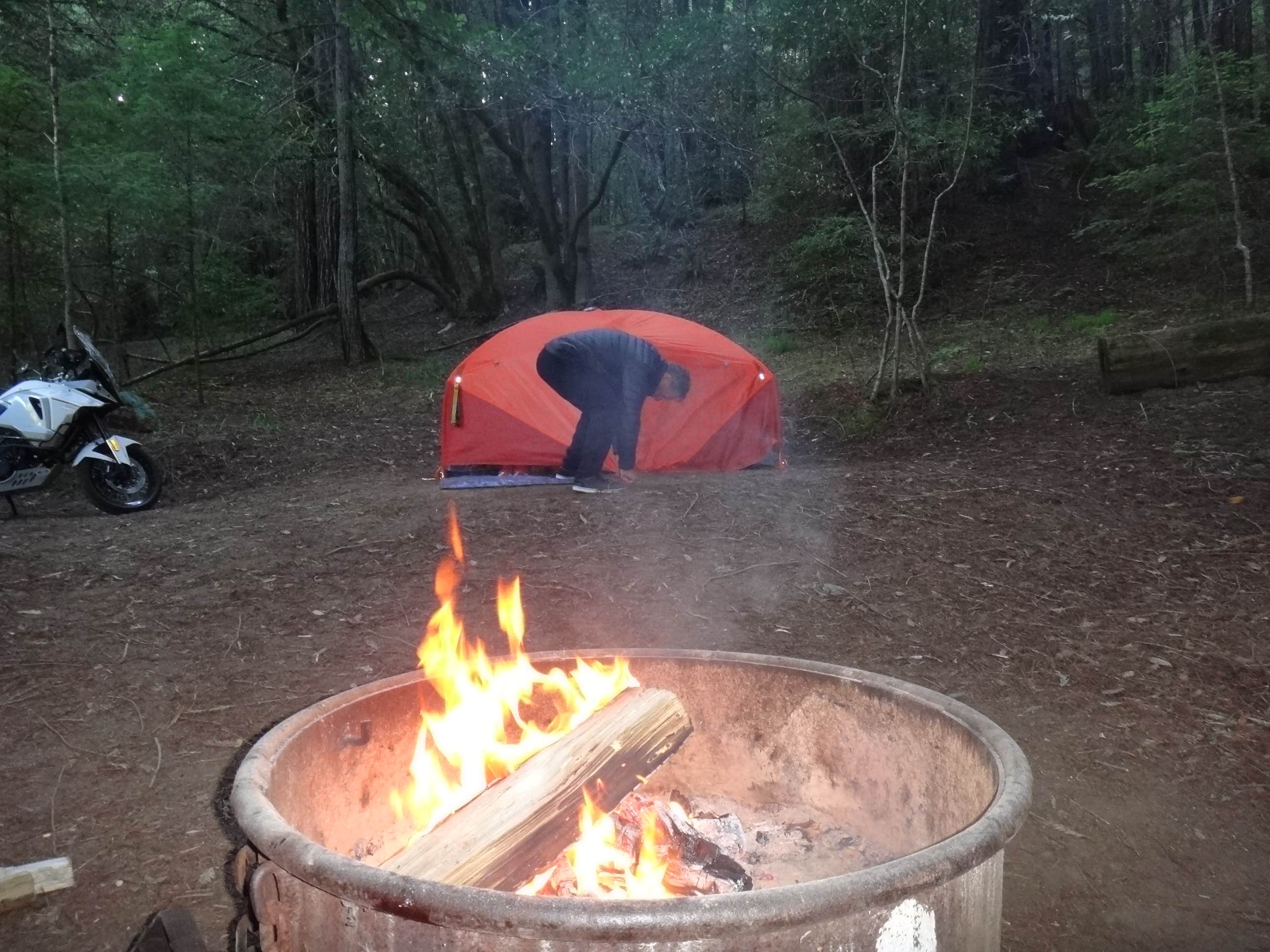 Camper submitted image from Albee Creek Campground — Humboldt Redwoods State Park - 3