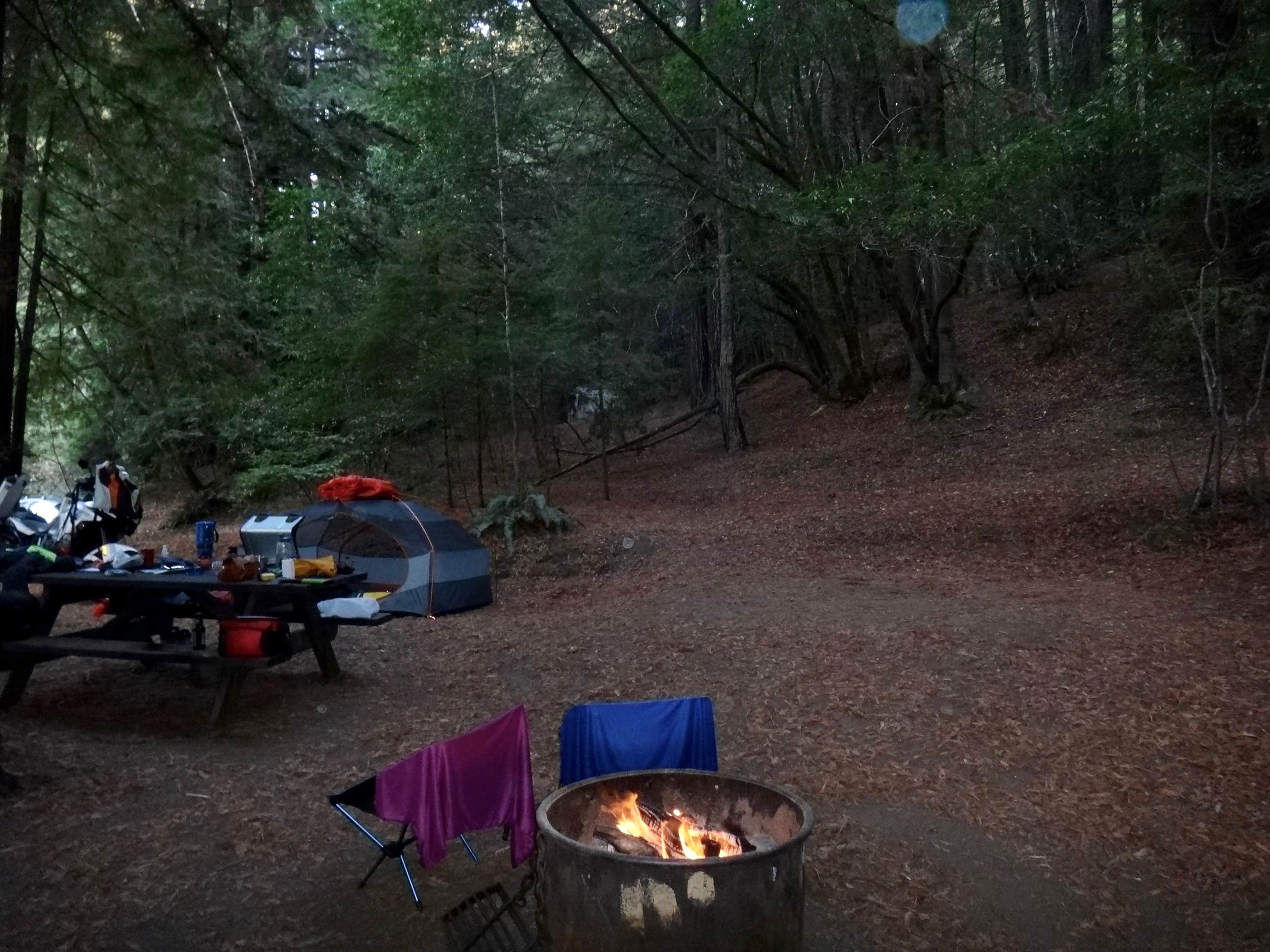 Jim M.'s photo at Albee Creek Campground — Humboldt Redwoods State Park near Fortuna, CA