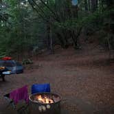 Review photo of Albee Creek Camp — Humboldt Redwoods State Park by Jim M., February 1, 2019