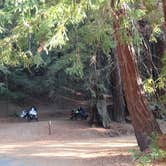 Review photo of Albee Creek Camp — Humboldt Redwoods State Park by Jim M., February 1, 2019