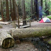 Review photo of Hidden Springs Campground — Humboldt Redwoods State Park by Jim M., February 1, 2019