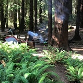 Review photo of Hidden Springs Campground — Humboldt Redwoods State Park by Jim M., February 1, 2019