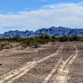 Review photo of Plamosa BLM Dispersed Camping Area by Shari  G., February 2, 2019