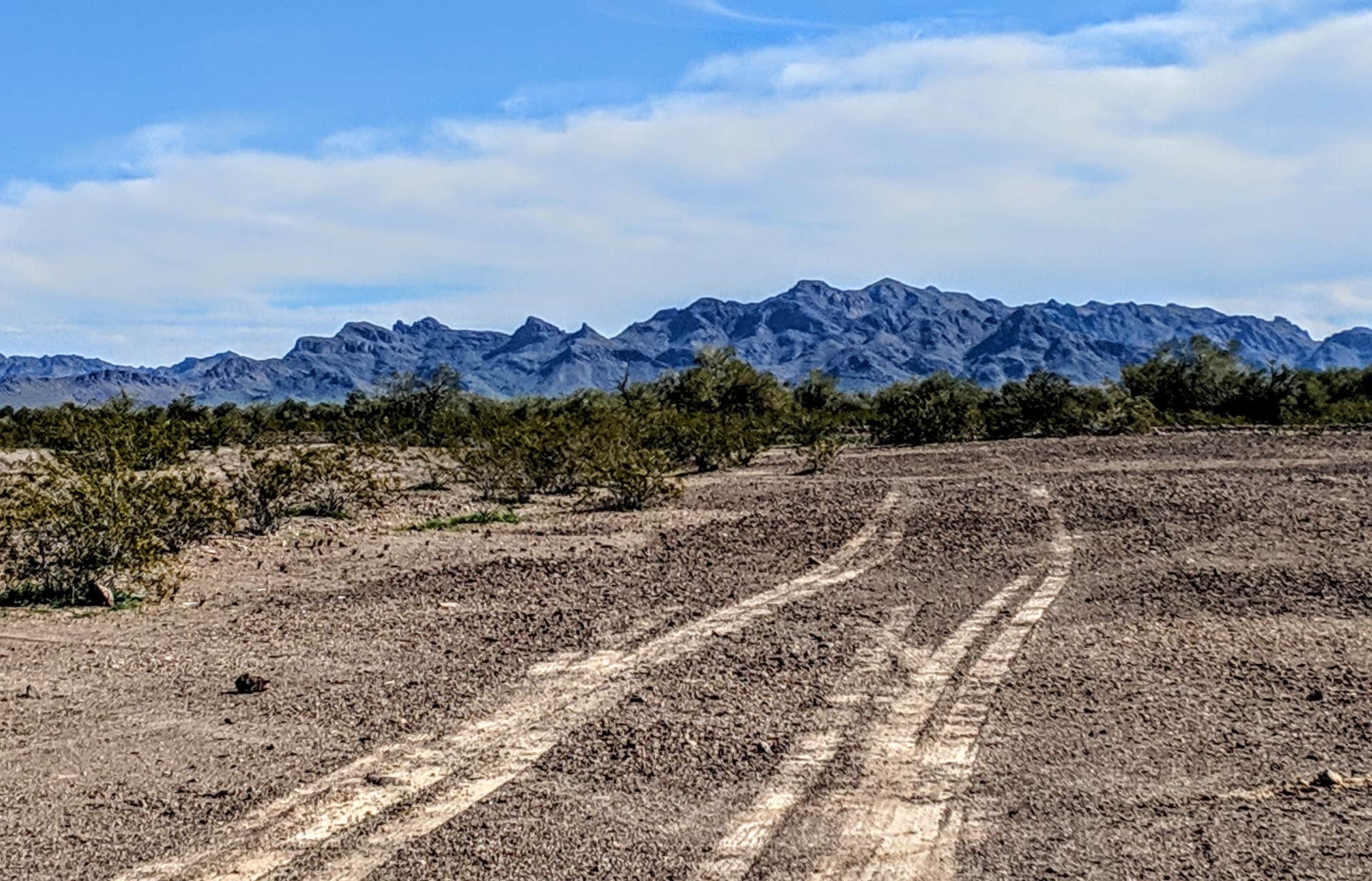 Camper submitted image from Plamosa BLM Dispersed Camping Area - 2