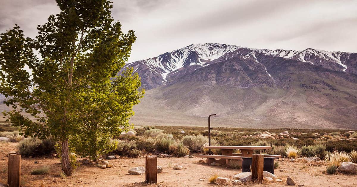 Horton Creek Campground — Alabama Hills