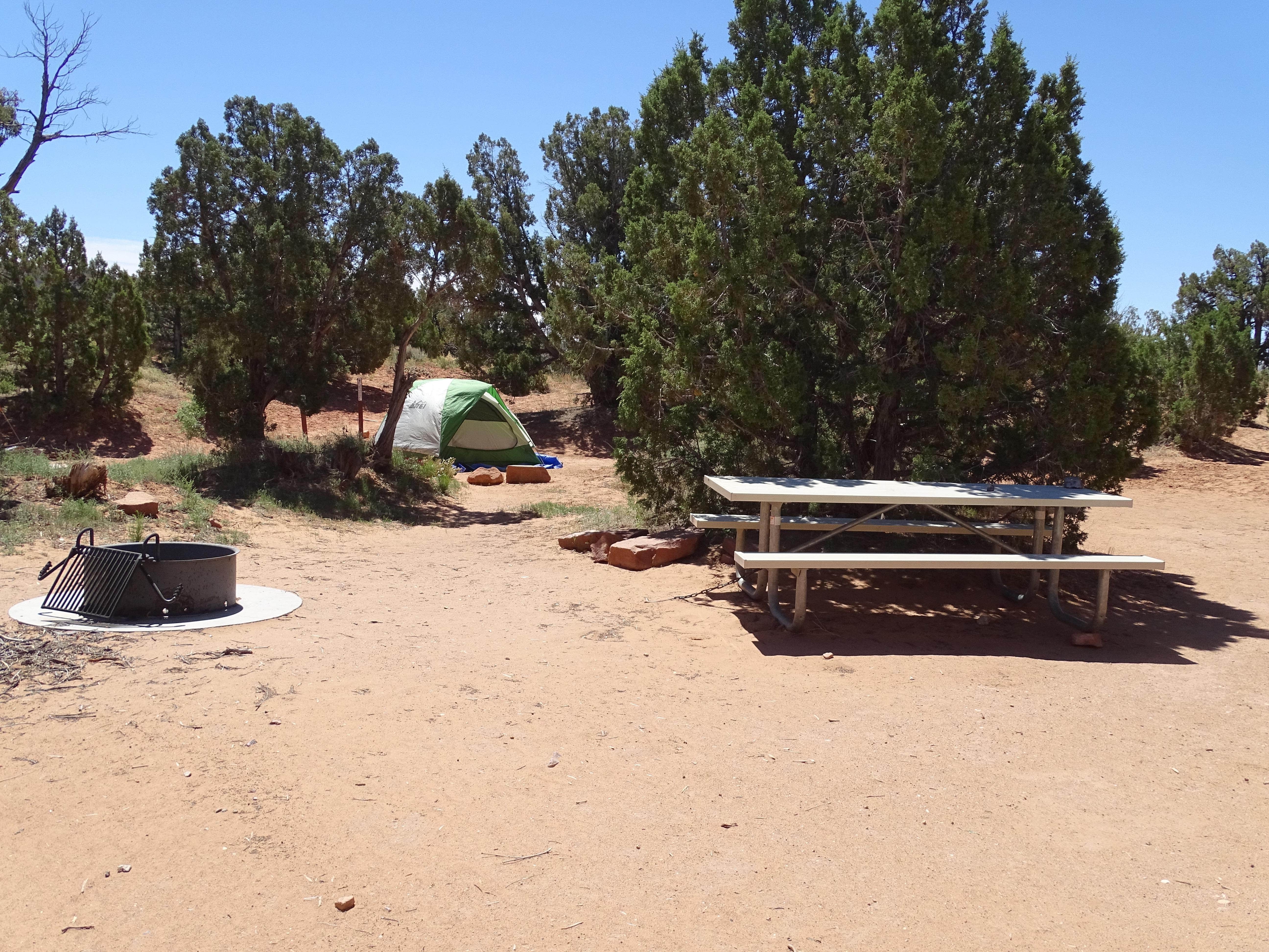 Camping near Horse Canyon Camping: Cedar Mesa Campground — Capitol Reef National Park, Boulder, Utah