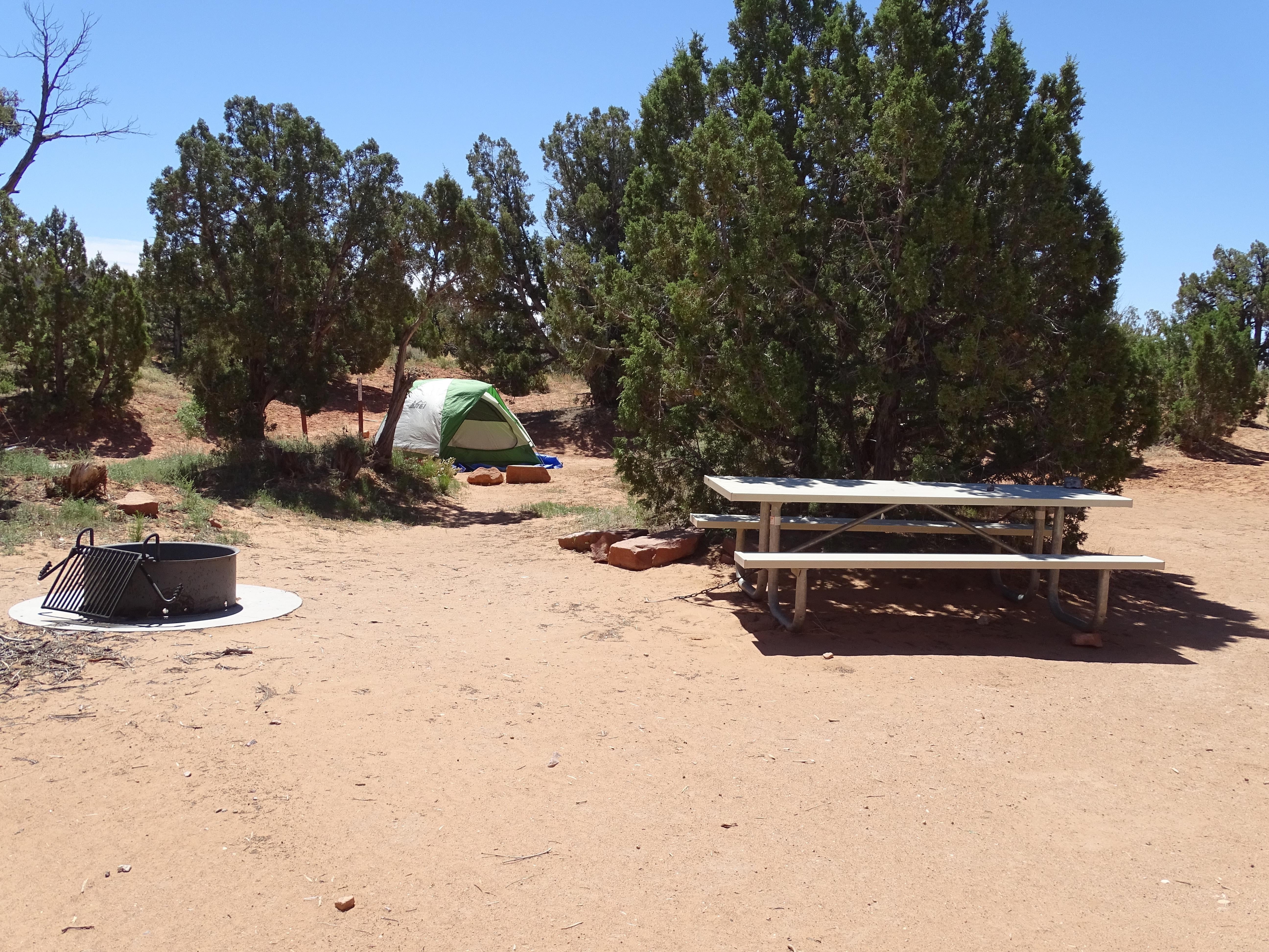 Camper submitted image from Cedar Mesa Campground — Capitol Reef National Park - 1