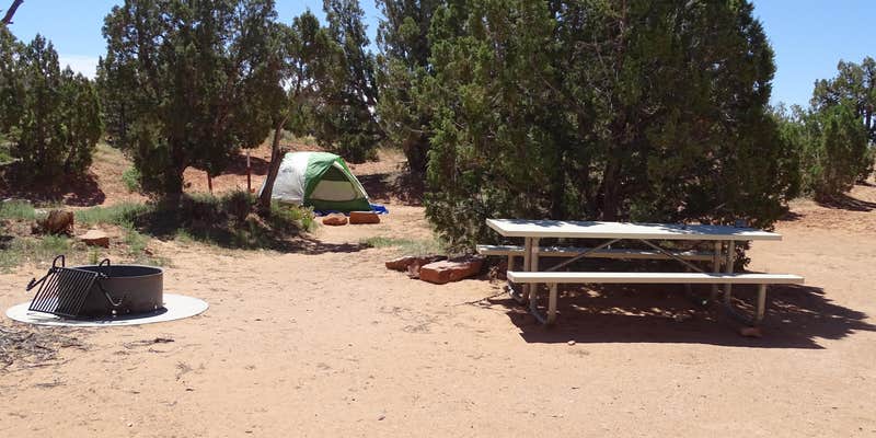 Camper submitted image from Cedar Mesa Campground — Capitol Reef National Park