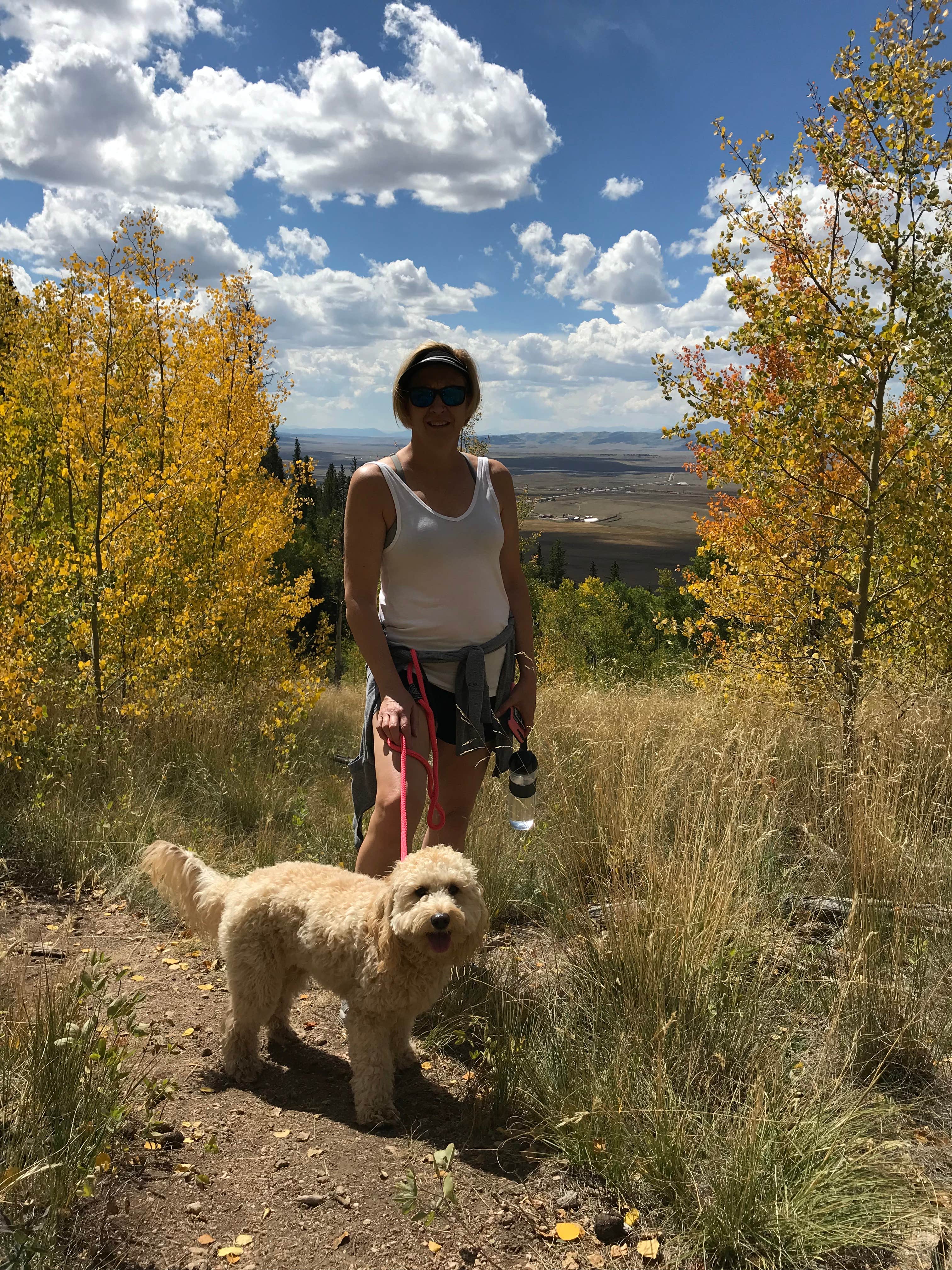Marty L.'s photo of camping with pets at Kenosha Pass Campground near Fairplay, CO