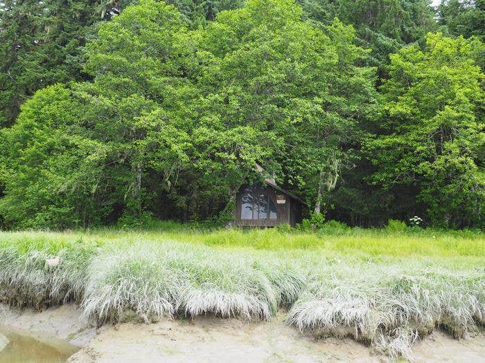 Camper submitted image from Mallard Slough Cabin - 2