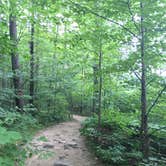 Review photo of Crawford Notch Campground by Melanie M., February 4, 2019