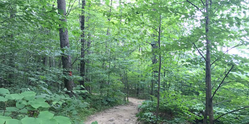 Camper submitted image from Crawford Notch Campground