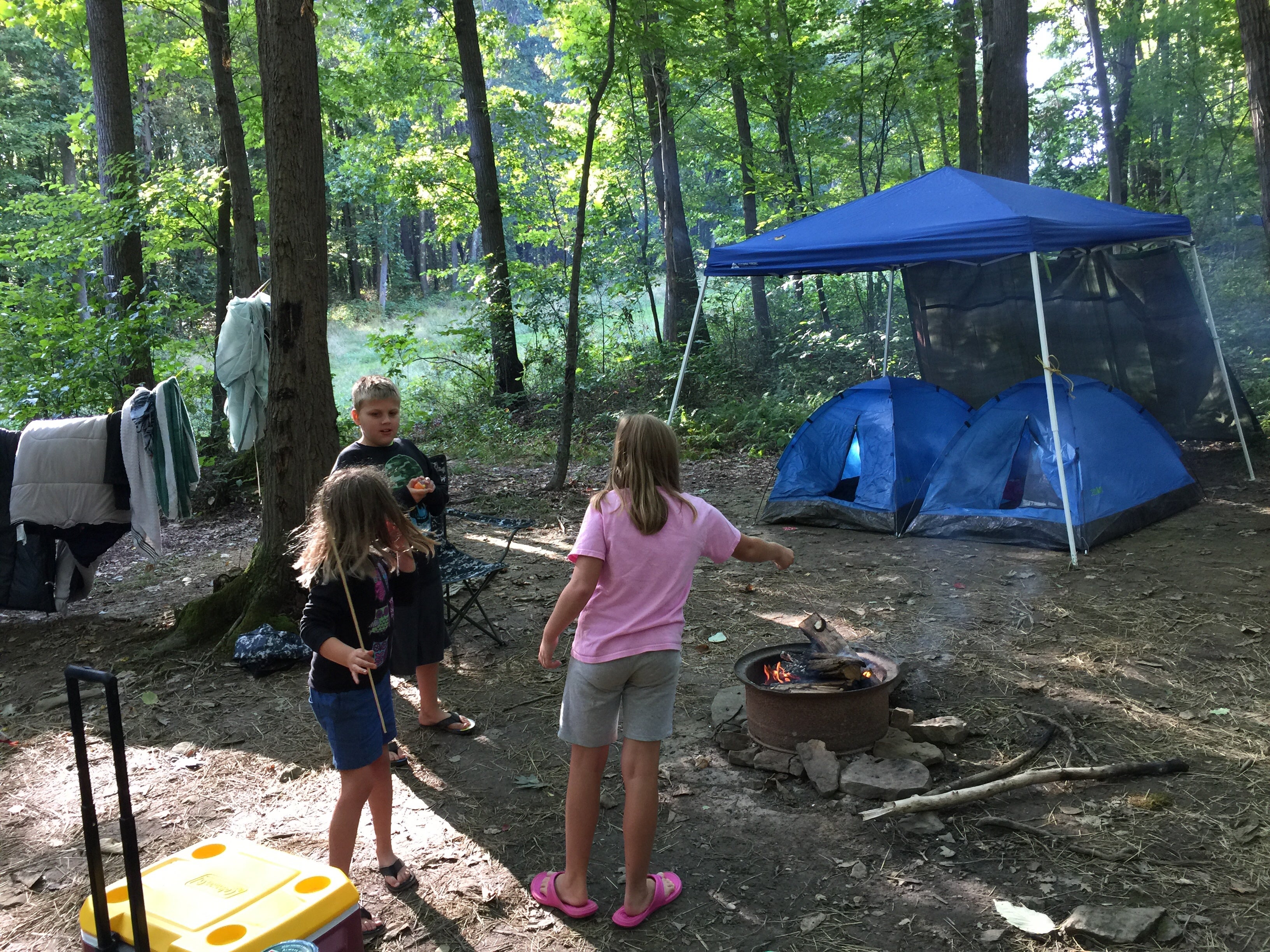 Camper submitted image from Benner's Meadow Run RV Campground - 4