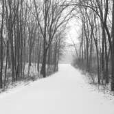 Review photo of Pokagon State Park Campground by Buck R., February 6, 2019