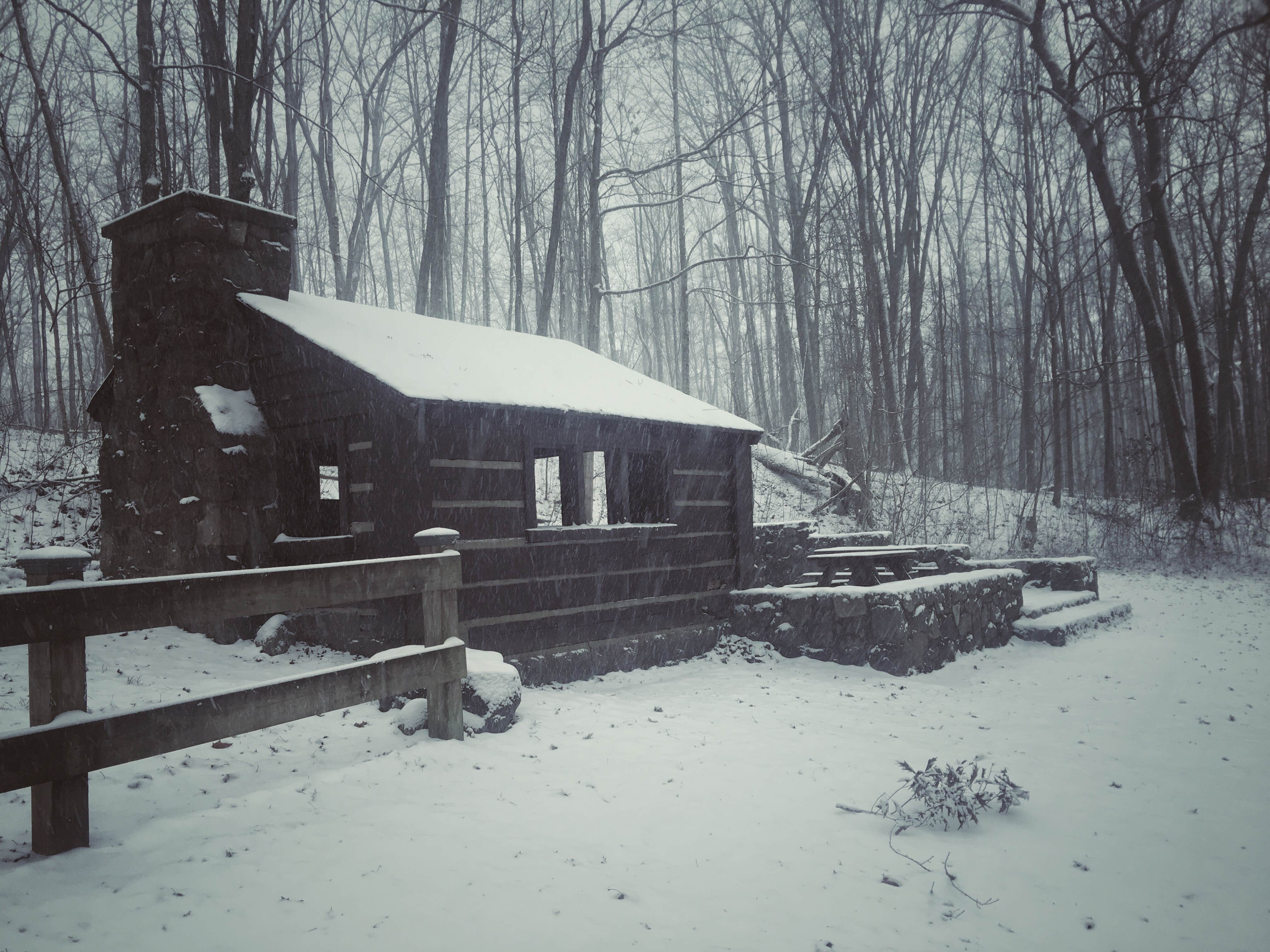 Buck R.'s photo of a cabin at Pokagon State Park Campground near Fayette, OH