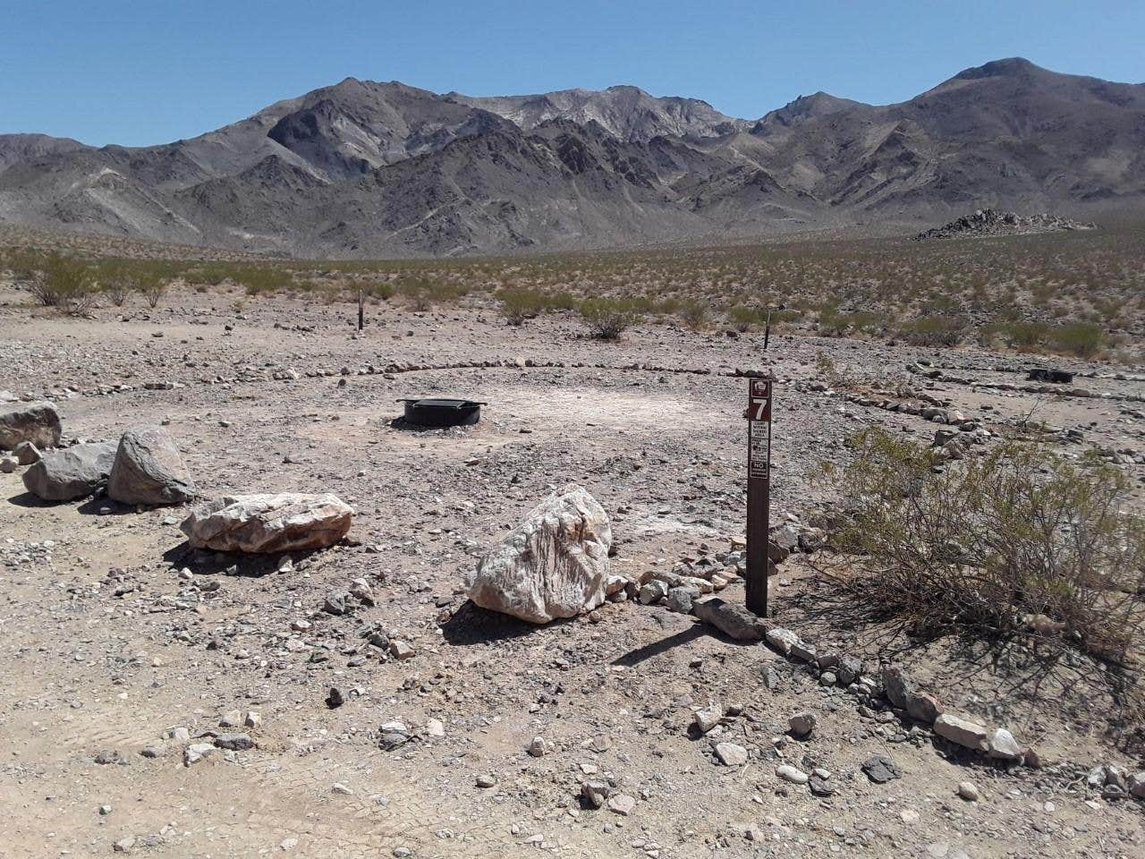 Camper submitted image from Saline Valley Primitive Campground — Death Valley National Park - 4
