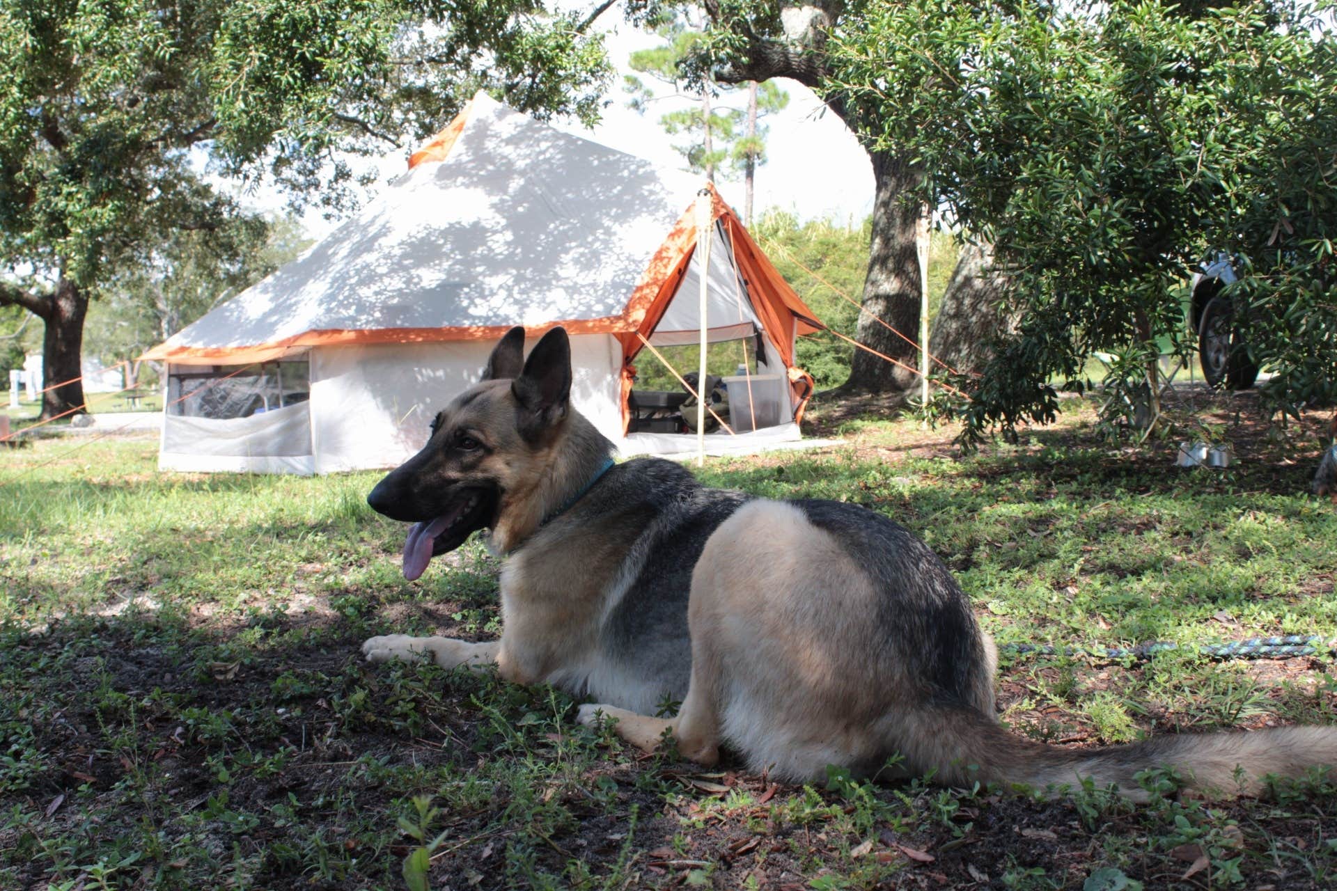 brittany M.'s photo of camping with pets at Fort Pickens Campground — Gulf Islands National Seashore near Daphne, AL