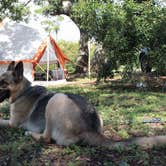Review photo of Fort Pickens Campground — Gulf Islands National Seashore by brittany M., February 8, 2019