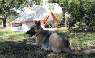 brittany M.'s photo at Fort Pickens Campground — Gulf Islands National Seashore near Gonzalez, FL
