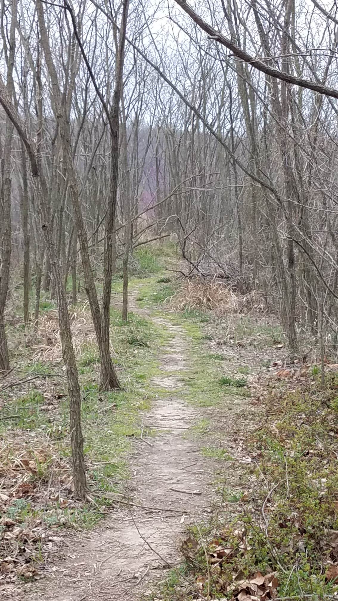 Camper submitted image from Greenleaf State Park Campground - 3