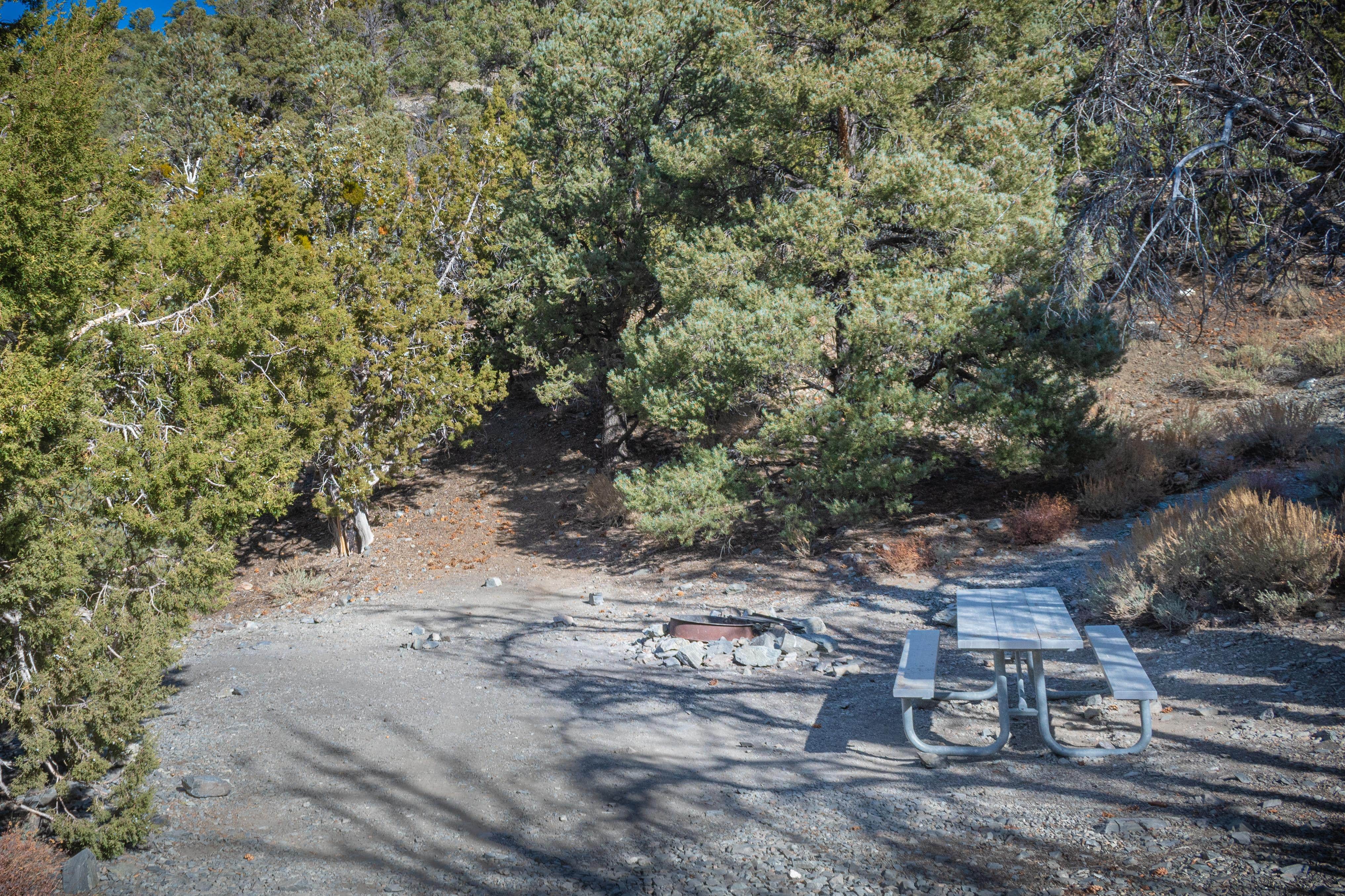 Camping near Emigrant Campground — Death Valley National Park: Thorndike Primitive Campground — Death Valley National Park, Darwin, California