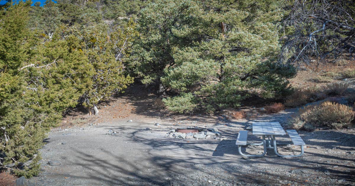 Thorndike Primitive Campground — Death Valley National Park
