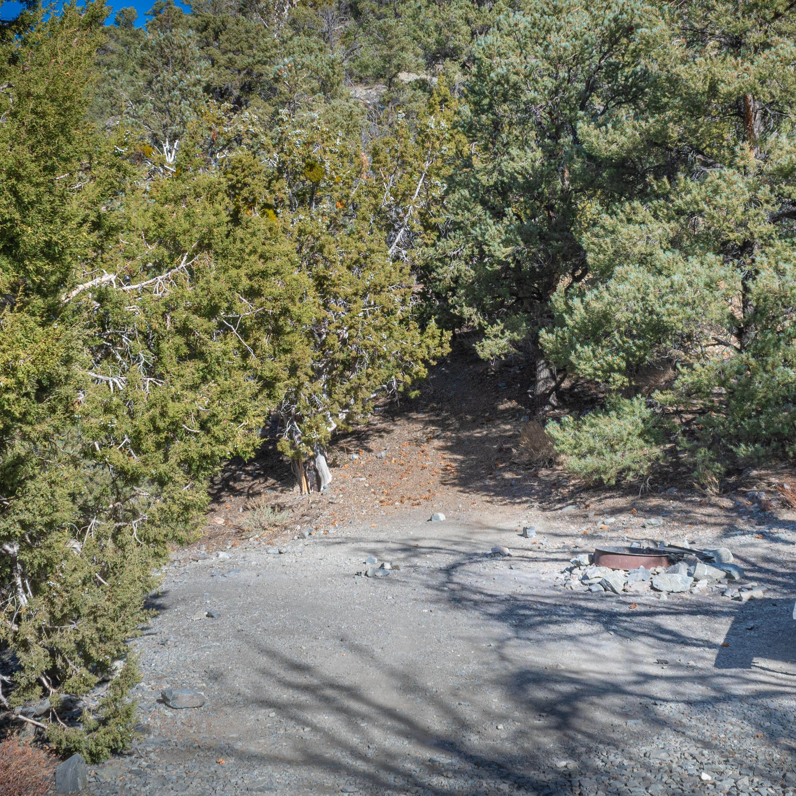 Thorndike Primitive Campground — Death Valley National Park