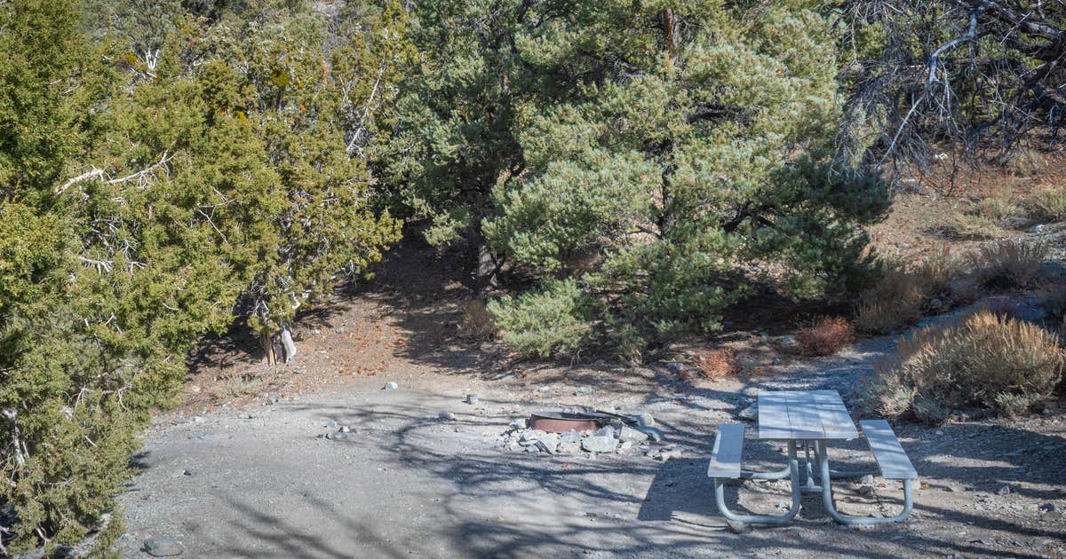 Thorndike Primitive Campground — Death Valley National Park