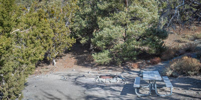 Camper submitted image from Thorndike Primitive Campground — Death Valley National Park