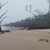 Review photo of Little Talbot Island State Park Campground by Graham R., February 8, 2019