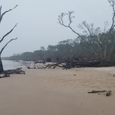 Review photo of Little Talbot Island State Park Campground by Graham R., February 8, 2019