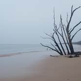 Review photo of Little Talbot Island State Park Campground by Graham R., February 8, 2019