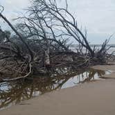 Review photo of Little Talbot Island State Park Campground by Graham R., February 8, 2019