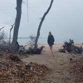 Review photo of Little Talbot Island State Park Campground by Graham R., February 8, 2019