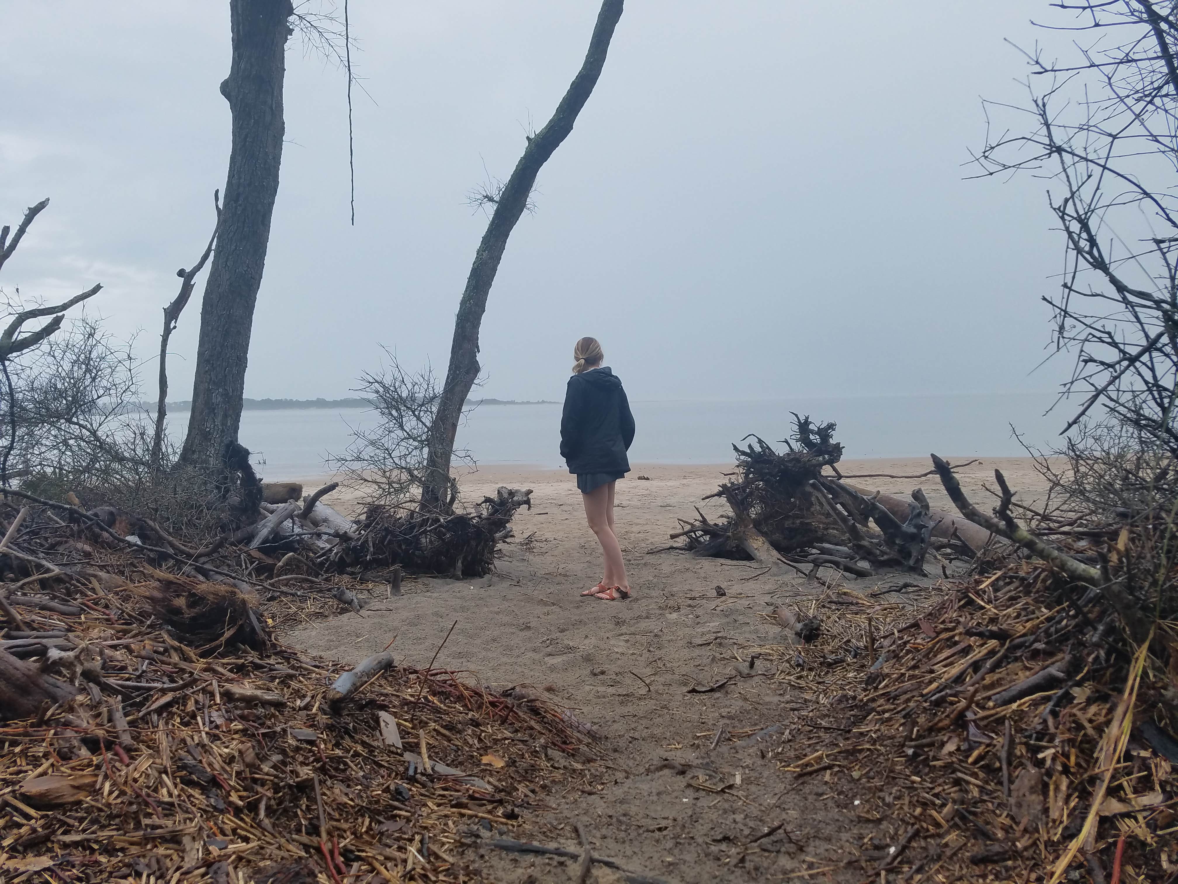 Camper submitted image from Little Talbot Island State Park Campground - 4