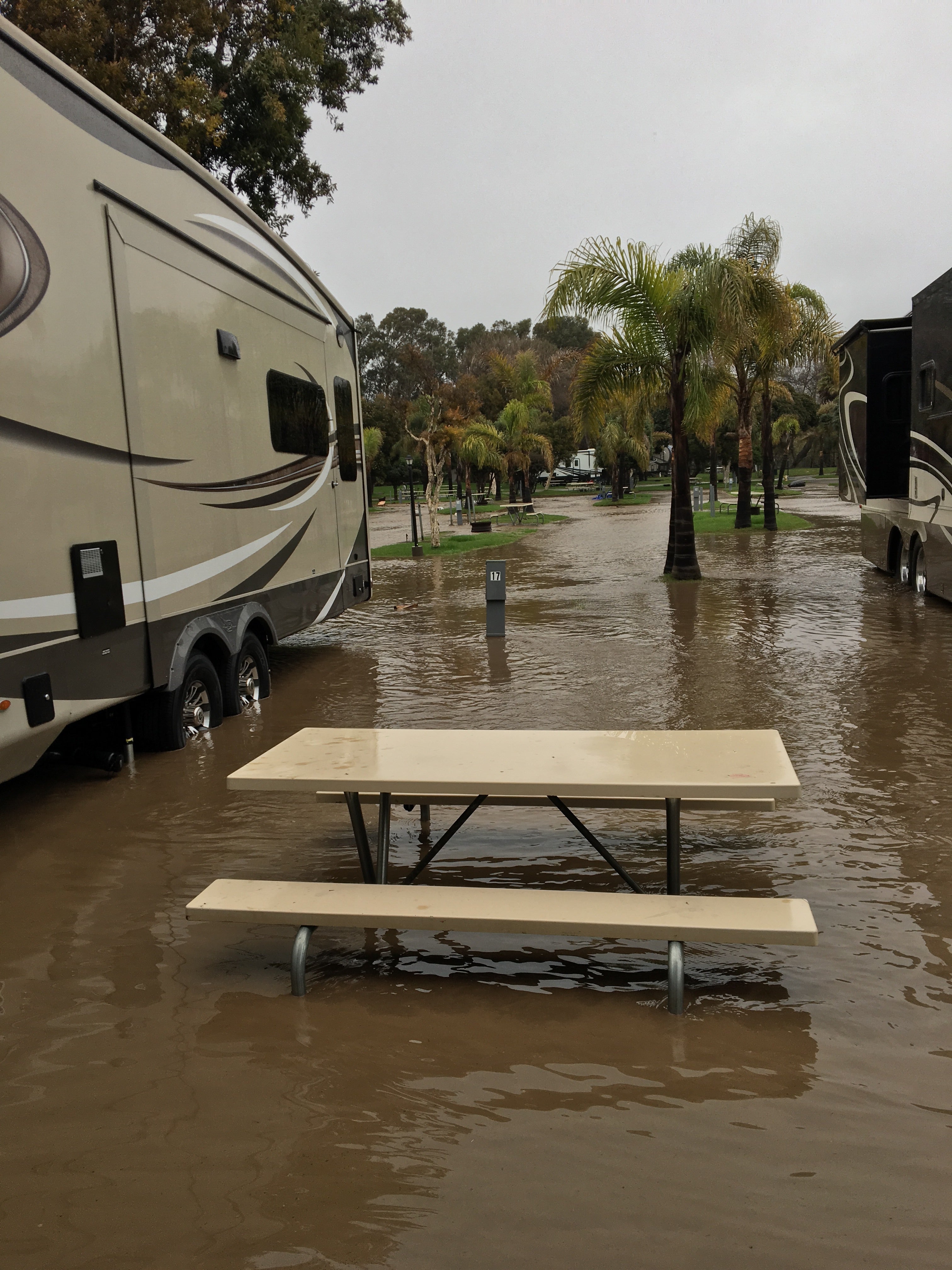 Camper submitted image from Ventura Beach RV Resort - 1